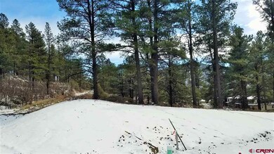 0 Wild Iris Ave unit 752612, Durango, CO 81301 - photo 6