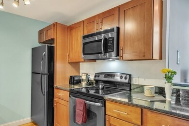 Sumner Hill Condominiums unit 106, Jamaica Plain, MA 02130 - photo 6