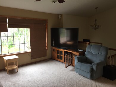 12926 Valley Dr, Wayland, MI 49348 - photo 5