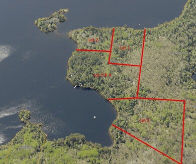 Lot 5 Wakemup Narrows N, Cook, MN 55771 - photo 6