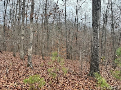 Madison 244 County Road 244, Fredericktown, MO 63645 - photo 7