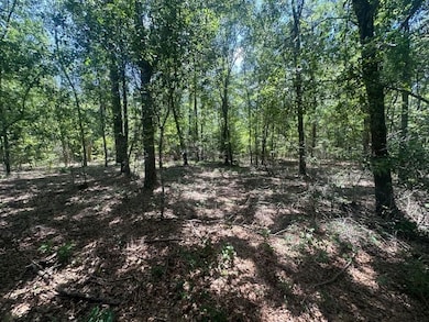 0 Rocky Knob Rd unit 22483768, Sylvania, GA 30467 - photo 6