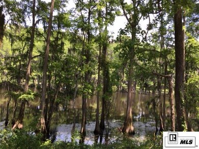 9382 Desiard Trace, Sterlington, LA 71280 - photo 7