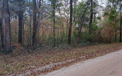 TBD Bumble St, Fort White, FL 32038 - photo 2