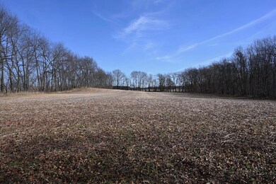 55824 County Line Rd, New Carlisle, IN 46552 - photo 6