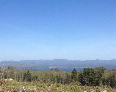 85 Knox Mountain Rd unit 1, Ossipee, NH 03814 - photo 2