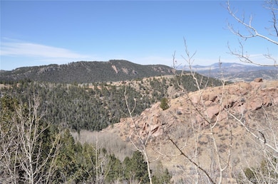 67 Ajax Rd, Florissant, CO 80816 - photo 4