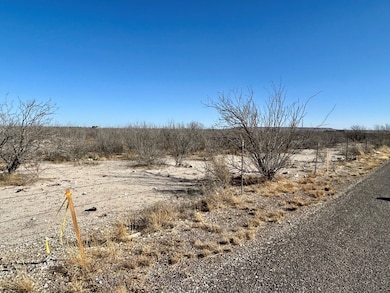 0 7d unit 50080649, Fort Stockton, TX 79735 - photo 4