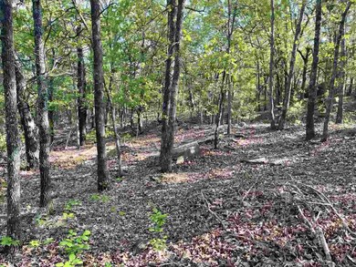 Lot 353 and 354 Sunset Ct unit Frontier Shores I, Osage, OK 74054 - photo 7