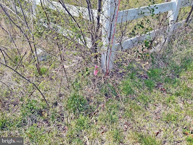 Lot #4 Avalon & Lawson Rd, Georgetown, DE 19947 - photo 5