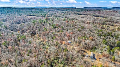 2805 Larue Ridge Rd, Dover, AR 72837 - photo 2