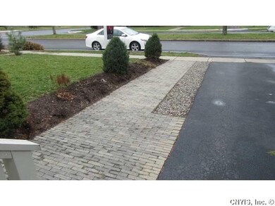 Yard/Garden.