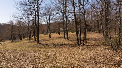 TBD Grandview Dr, Meadows of Dan, VA 24120 - photo 4