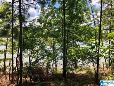 0 County Road 3292 unit 898520, Wedowee, AL 36278 - photo 7