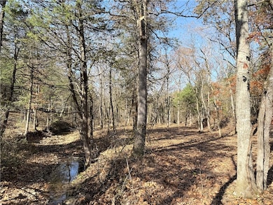 0 Owens Ln, Peel, AR 72668 - photo 5