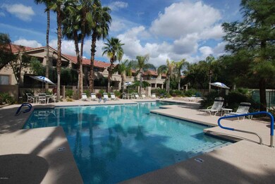 new pool