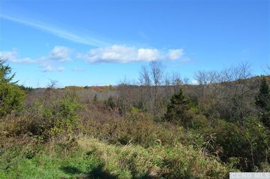 0 Vosburgh Rd, Red Hook, NY 12571 - photo 2