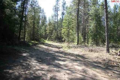 1031 Homestead Rd, Athol, ID 83801 - photo 4