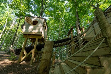 502/Ac TBD Gregory Rd, Sneedville, TN 37869 - photo 6