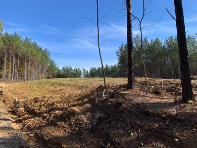 26 Ac Thomas Springs Rd, Crossville, TN 38572 - photo 3