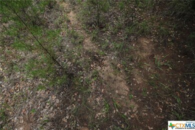 TBD Cowan Rd, Moody, TX 76557 - photo 3