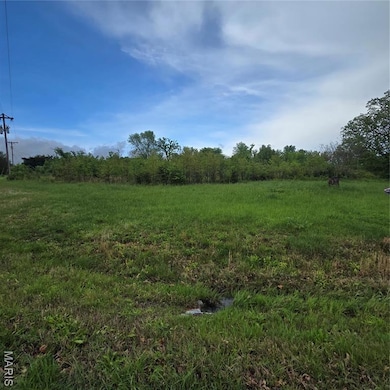 0 State Route Dd unit MAR25027340, Festus, MO 63028 - photo 4