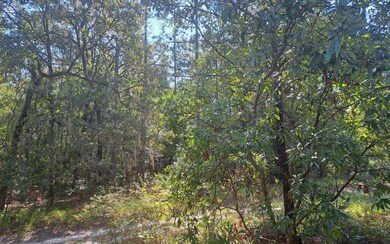 TBD 29th Place, Branford, FL 32008 - photo 3