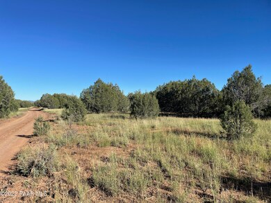 Lot 51a Juniperwood Ranch, Ash Fork, AZ 86046 - photo 5