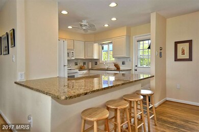 102 Green Spring Dr, Annapolis, MD 21403 - photo 4