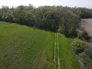 Driveway into the property