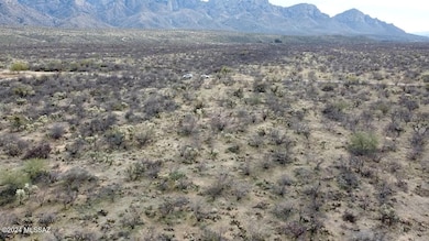 3611 E Rollins Rd, Catalina, AZ 85739 - photo 7