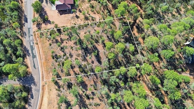 1300 N Karen Way, Payson, AZ 85541 - photo 3