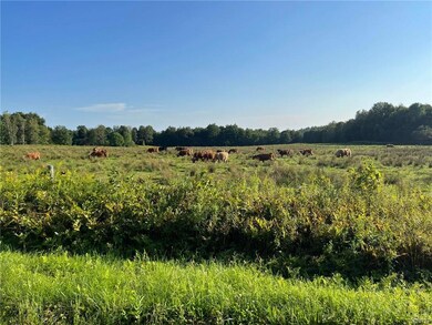 View of your closest neighbors across the street..