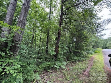 View from the lower part of Woody Circle.