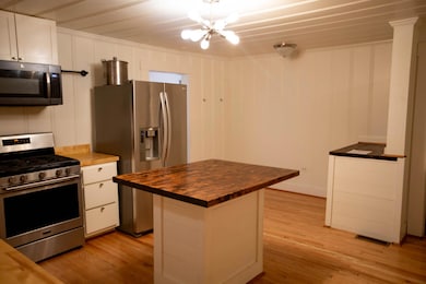 Kitchen Pic 3