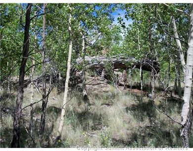 313 Kodiak Rd, Como, CO 80432 - photo 6