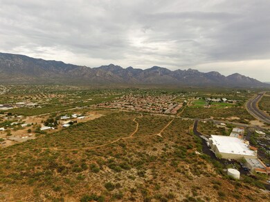 Catalina Mts