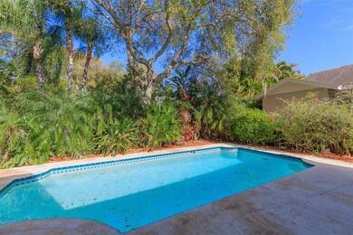 Beautiful Pool