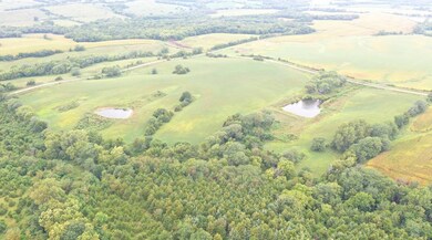 40 Acres Nw1 4 Nw 1 4 7-69-28, Ellston, IA 50074 - photo 6