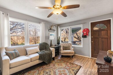 14 Sluder Branch Rd, Candler, NC 28715 - photo 6