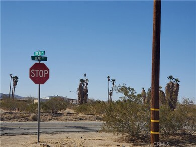 4325 Lear Ave, Twentynine Palms, CA 92277 - photo 5