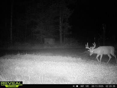 0 Grass Creek Ln, Athens, WI 54411 - photo 5