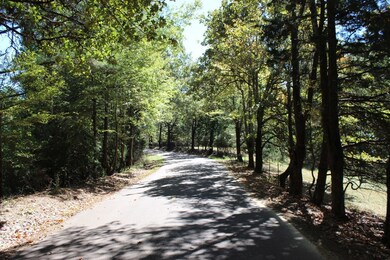 48 County Road 329, Oxford, MS 38655 - photo 2