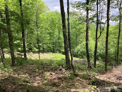 Lot 1 Pegwood Rd, Campton, NH 03223 - photo 3