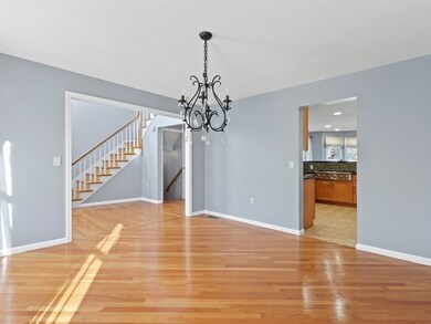 39 Walsh Rd, Newton Center, MA 02459 - photo 7
