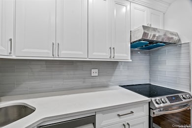 155-09 Locke Ave unit 1st Fl, Flushing, NY 11357 - photo 4