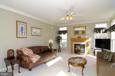 4809 Daisey Creek Terrace, Beltsville, MD 20705 - photo 7