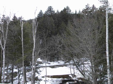 19 Mountain Brook Way unit 23, Waterville Valley, NH 03215 - photo 7