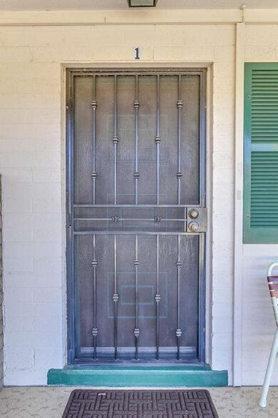 Screened Security Door