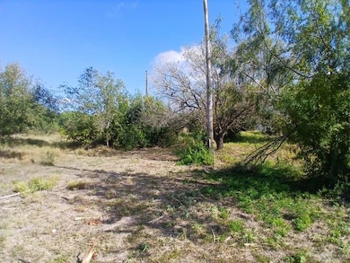 5410 Victory Ave, Edinburg, TX 78542 - photo 3